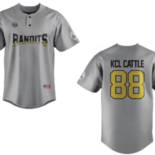 Coaldale Bandits Baseball Jersey - Grey - Adult (KCL Cattle) Thumbnail