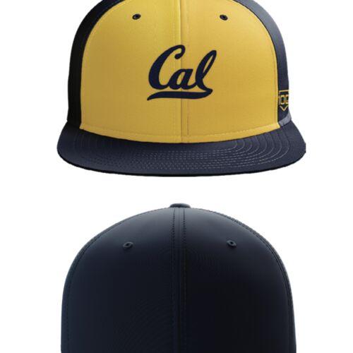 Caledonia MB Flat Brim Flex Fit Hat Thumbnail